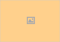 no images
