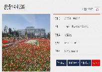 신안튤립축제.jpg