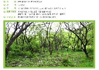 고창운곡습지.jpg