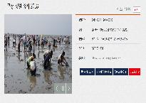 고창갯벌축제.jpg