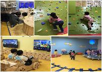 20190130_123817.jpg