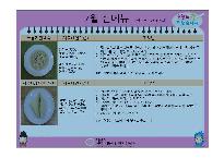 프레젠테이션1.jpg